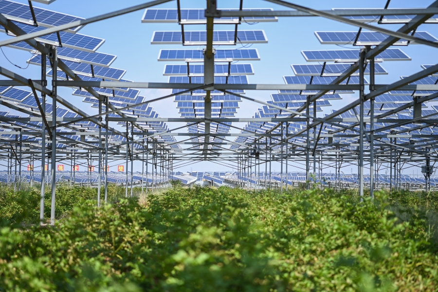 圖5  三峽集團(tuán)在庫(kù)布齊沙漠腹地繪就沙漠生態(tài)治理與綜合能源高效利用新畫卷